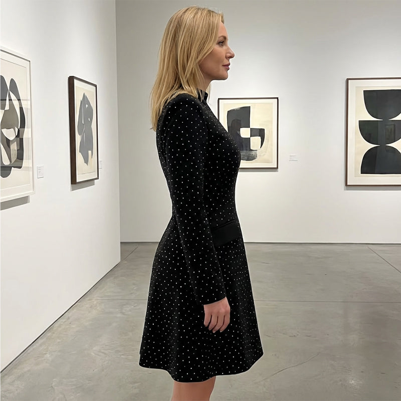 Women's Long Sleeve Sparkle A-Line Dress