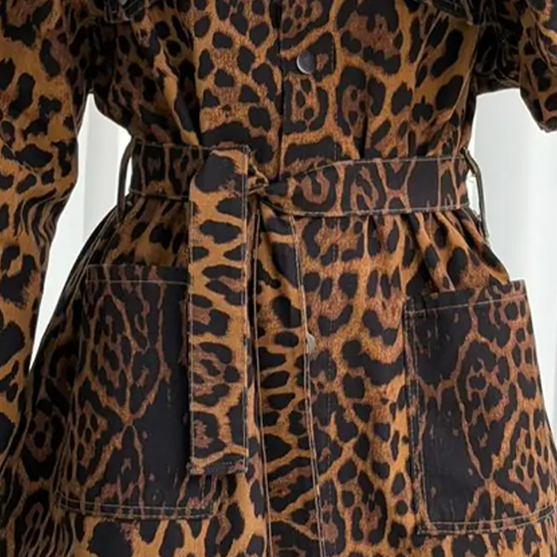 Women's Leopard Print Belted Jacket & Pants 2-Piece Set